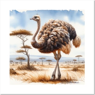 Colorful Ostrich - Watercolor Bird Posters and Art